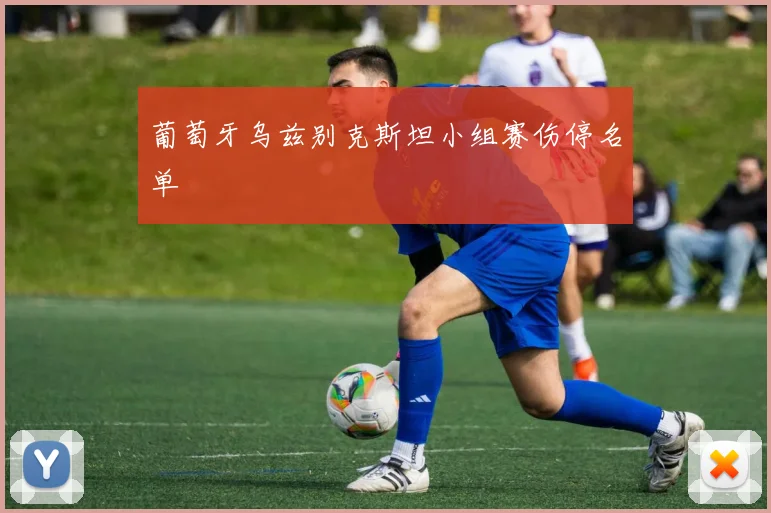 葡萄牙乌兹别克斯坦小组赛伤停名单