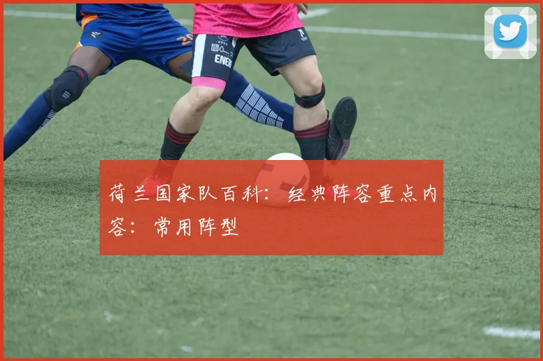 荷兰国家队百科：经典阵容重点内容：常用阵型
